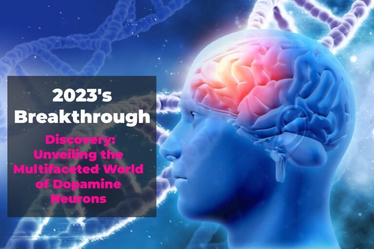 2023's Breakthrough Discovery Unveiling the Multifaceted World of Dopamine Neurons