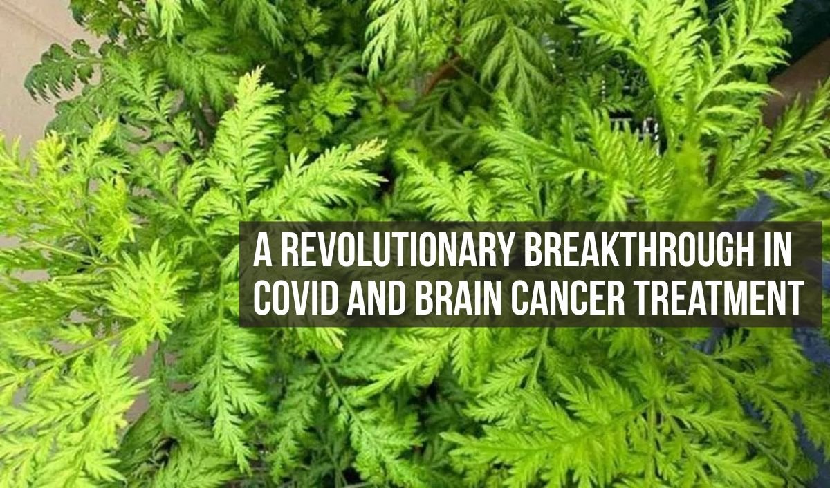 A Revolutionary Breakthrough in COVID and Brain Cancer Treatment