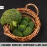 2023's Game-Changer Broccoli Compound's Anti-Cancer Miracle