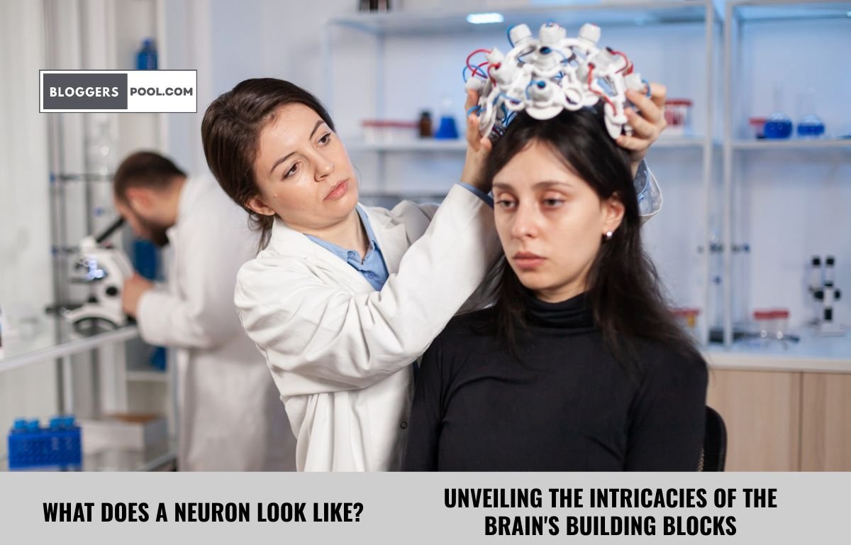 What Does a Neuron Look Like?
